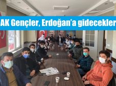 AK Partili gençlerden kongre mesaisi!