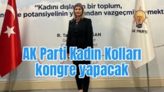 AK Kadınlar sandık başına gidecek