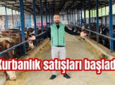 Bize sormadan kurbanlık almayın