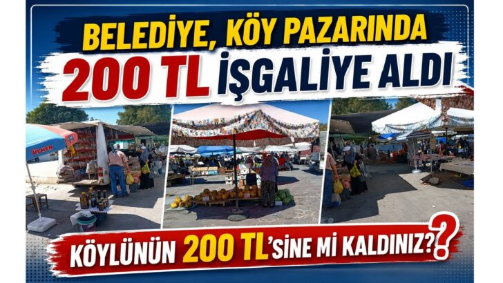 Hangi hizmetin bedeli bu?