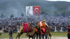Deve Güreşleri takvimi açıklandı