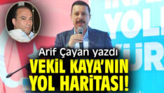 Arif Çayan, vekil Kaya’yı yazdı