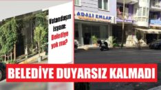 Belediye, zincirleri söktü