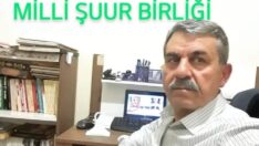 MİLLİ ŞUUR BİRLİĞİ