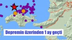 Bir ayda 5 bin 068 artçı meydana geldi