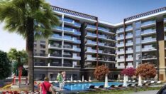 Mia Koru’nun fiyatı belli oldu