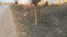 Ayrancılar kaldırım istiyor!