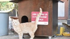 Torbalı’da can dostlara sıcacık yuva