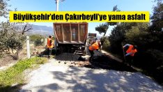 Büyükşehir köylerde çalışıyor