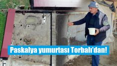 Tanesini 7 liradan satıyor