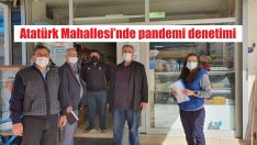 Pandemi ekibi denetim yaptı