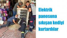 Torbalı’da kedi kurtarma operasyonu!