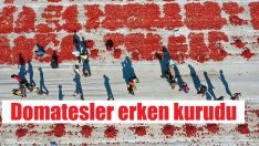 Aşırı sıcaklar ‘kırmızı mesai’yi erken bitirdi