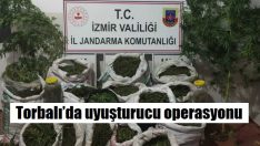 6 ilçede operasyon yapıldı