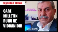 ÇARE MİLLETİN RUHU VE VİCDANIDIR