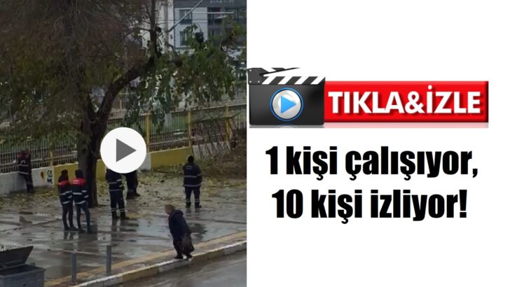 Torbalı Belediyesi çalışıyor!