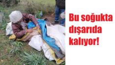 Kimsesiz adamın yaşam savaşı!