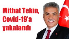 Tekin, korona oldu