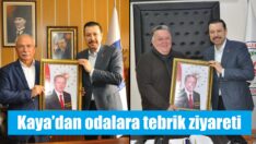 Kaya’dan odalara ziyaret