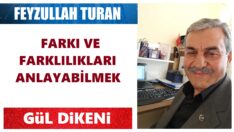 FARKI VE FARKLILIKLARI ANLAYABİLMEK