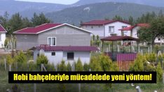 Yetkililer harekete geçti