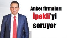 CHP’den milletvekili olacak