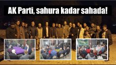 Mahalle mahalle geziyorlar