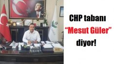 Örgütün ortak adayı Mesut Güler