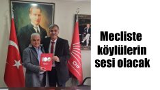 Hasan Sak meclise aday oldu