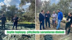 Terzioğlu köylülerle beraber zeytin topladı