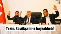 Tekin: Mecbur bırakıldım!