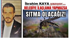SİVRİSİNEK ŞİKAYETLERİ ARTIYOR