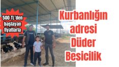 Kurbanlık Düder Besicilik’ten alınır