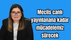 Diğer ilçelerden örnekler verdi