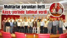 Muhtarlar iletti, Kaya çözdü