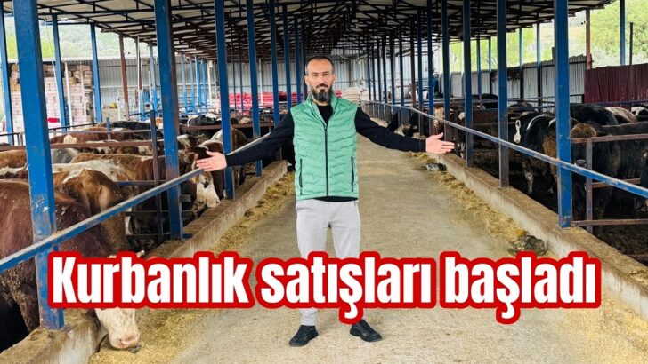 Bize sormadan kurbanlık almayın