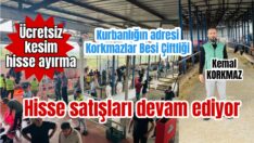 Hisse satışları devam ediyor