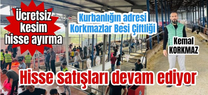 Hisse satışları devam ediyor