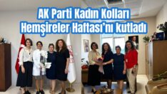AK Kadınlar hemşireleri unutmadı