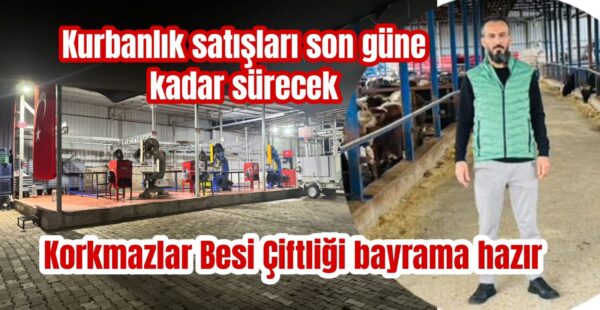 Hisse satışlarına yoğun ilgi
