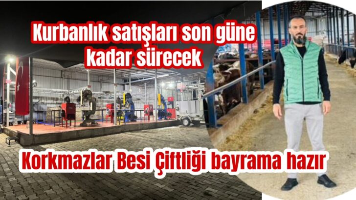 Hisse satışlarına yoğun ilgi